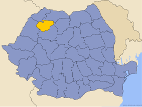 Administrative map of  with Sălaj county highlighted