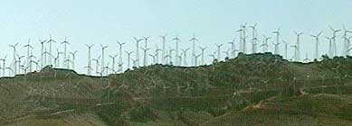 Numerous small and fast turning wind turbines at Altamont Pass