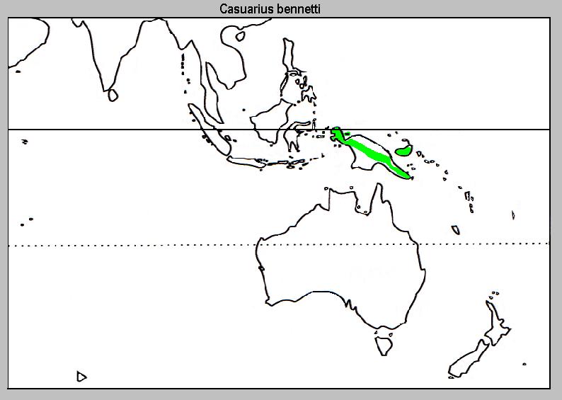 Image:Casuarius_bennetti_Distribuzione.jpg