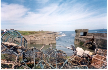 Craster Harbour with  in the distance