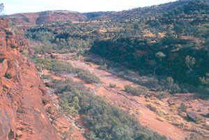 Palm Valley in Finke Gorge National Park