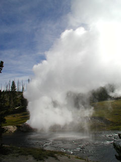 Riverside Geyser in full eruption.