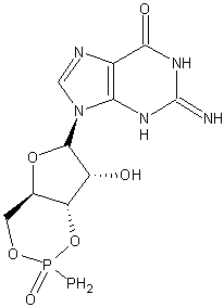 Cyclic guanosine monophosphate (cGMP) is a  derived from .