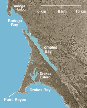 Tomales Bay