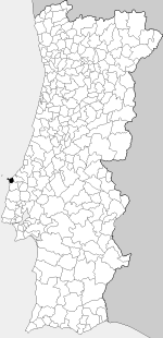 Localization in Portugal