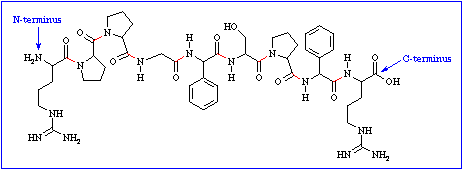 Molecular structure of bradykinin