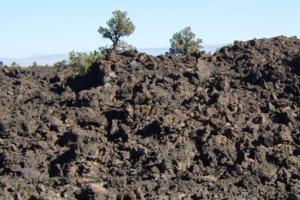 image:Devils Homestead in Lava Beds NM-300px.jpg