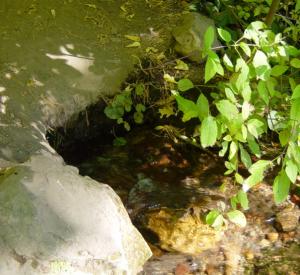 image:Headwaters of the Sacramento River-spring-300px.JPG