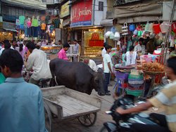 A Bazaar in Old Delhi, 2004