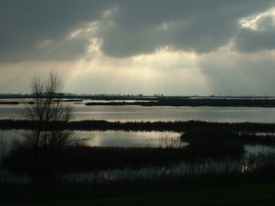 Sacramento National Wildlife Refuge, towards sunset, winter