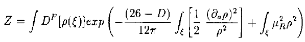 Polyakov equation