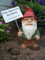A gnome protests in an undisclosed garden.