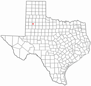 Location of Reese Center, Texas