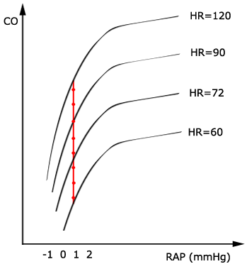 Graph of family of cardiac function curves