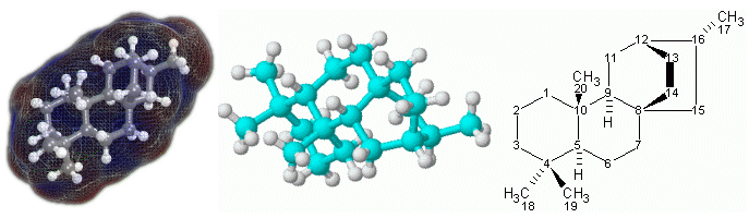 Figure 1.  (left and center) and  (right) representations of the , . In the 3D model on the left,  atoms are represented by gray spheres, white spheres represent the  atoms and the cylinders represent the bonds.  The model is enveloped in a "mesh" representation of the molecular surface, colored by areas of positive (red) and negative (blue) .  In the 3D model (center), the light-blue spheres represent carbon atoms, the white spheres are hydrogen atoms, and the cylinders in between the atoms correspond to single-bonds.