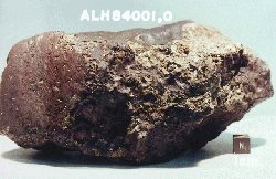 meteorite fragment ALH84001