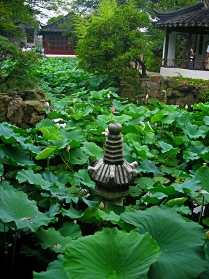 The Humble Administrator's Garden, Suzhou, P.R. 