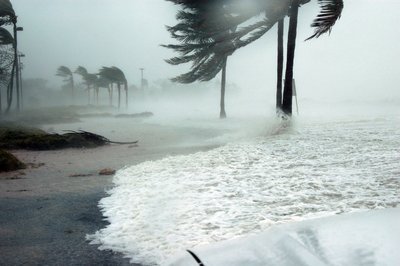 Tropical Cyclone Academic Kids