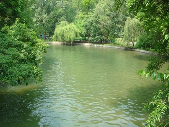 The Cismigiu Lake