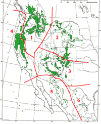 Range map of Pinus ponderosa and Pinus arizonica