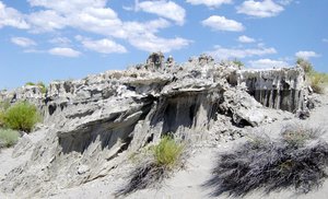 Sand tufa at Navy Beach on Mono Lake shore