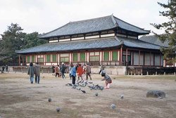 The Kofukuji is an ancient Buddhist temple in the center of Nara