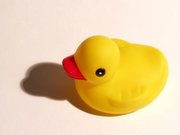 The quintessential yellow rubber duck