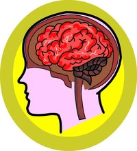 Brain Clip Art provided by [http://classroomclipart.com Classroom Clip Art