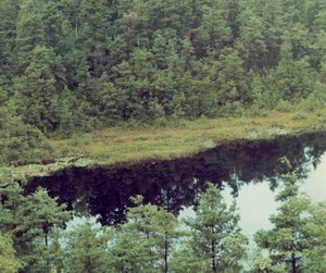 Ell Pond in Rhode Island.