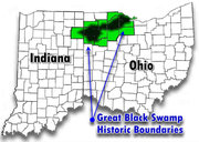 In the above map, the Great Black Swamp is the dark area within the green shaded counties.