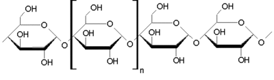 Amylose structure