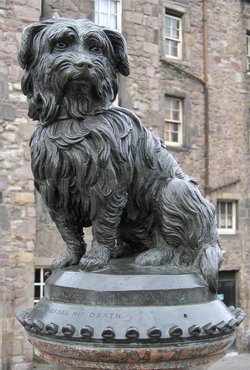 Statue of Greyfriars Bobby in 