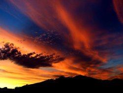 A colored photo of a sunset