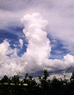 active cumulus castellanus