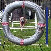 An ACD in a jump chute, practicing .