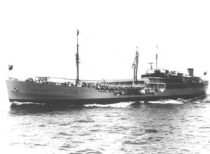 RFA Brown Ranger