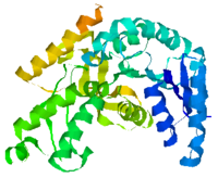  protein structure