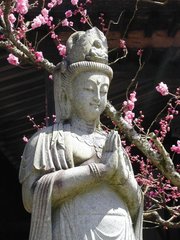 Kannon statue in Daienin, Mt. Koya, Japan