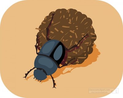 dung beetle or scarab beetle- Provided by classroomclipart.com
