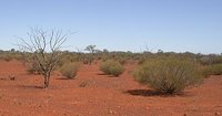 A typical outback scene, somewhere north of .