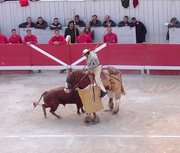 Picador spearing a bull