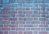 Flemish Bond