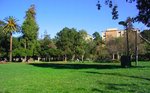 People's Park, Berkeley, CA