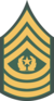 E-9 COMM insignia