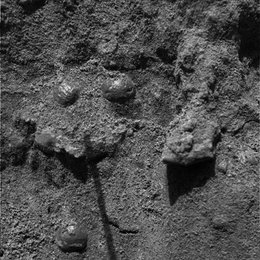 This image, taken by the microscopic imager, reveals shiny, spherical objects embedded within the trench wall