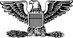 Insignia of a United States Air Force Colonel