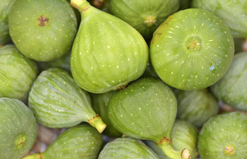 Green Fig Fruit. Photo provided by Classroom Clip Art (http://classroomclipart.com)