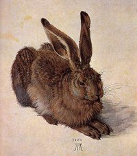 , A Young Hare, 1502, Watercolor