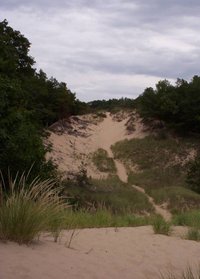 Parabolic dune partially stabilized by 