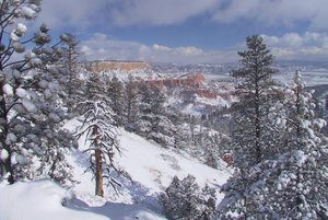 Bryce Canyon has extensive  .